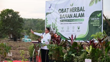 pusat tanaman obat BPOM Buka Pusat Tanaman Obat 21 Ha di Pondok Pesantren Al… pusat tanaman obat - ilustrasi berita BPOM Buka Pusat Tanaman Obat 21 Ha di Pondok Pesantren Al Ittifaqiah, Palembang